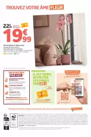 Catalogue Jardiland page 8