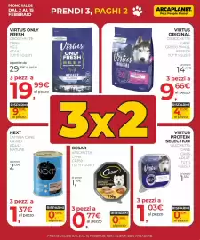 Volantino Arcaplanet Pagina 3