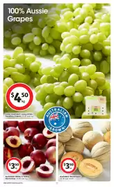 Coles catalogue week 6 Page 23