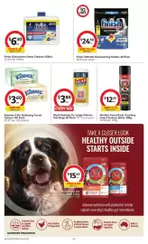 Coles catalogue week 6 Page 44