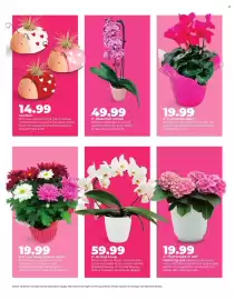 Hy-Vee weekly ad Page 6