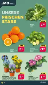 NETTO Prospekt woche 7 Seite 2