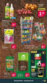 NETTO Prospekt woche 7 Seite 21