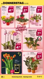 NETTO Prospekt woche 7 Seite 28