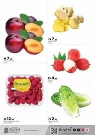 Nesto catalogue Page 3