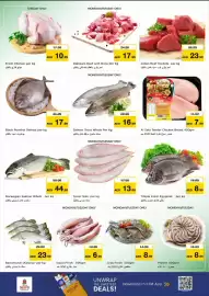 Nesto catalogue Page 13