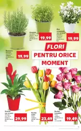 Catalog Kaufland săptămâna 6 Pagină 13