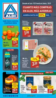 Folleto ALDI (válido hasta el 15-02)
