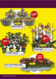 Tuinland folder Pagina 2