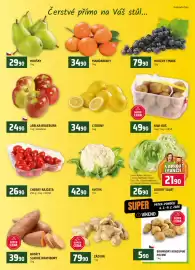 Terno leták týden 6 Strana 6