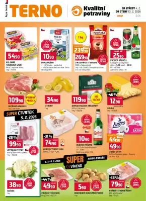 Terno leták