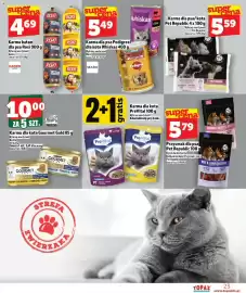 Topaz Express gazetka tydzień 6 Strona 23