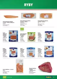 Makro gazetka Strona 11