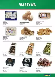 Makro gazetka Strona 7