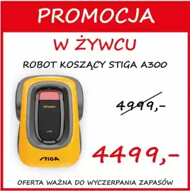 Szarotka gazetka Strona 13