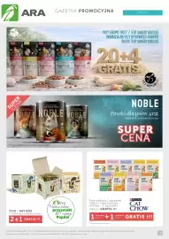 ARA gazetka Strona 3