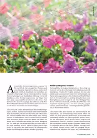 Lagerhaus Flugblatt Seite 21