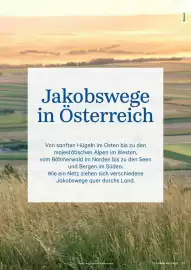 Lagerhaus Flugblatt Seite 37