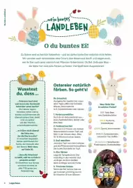 Lagerhaus Flugblatt Seite 6