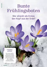 Lagerhaus Flugblatt Seite 8