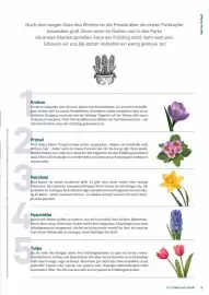 Lagerhaus Flugblatt Seite 9