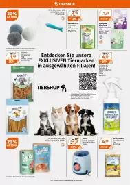 Müller Flugblatt woche 6 Seite 18