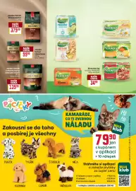 Billa leták Strana 13