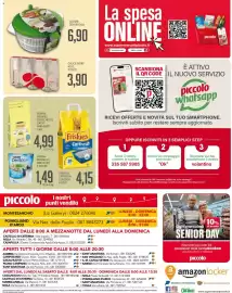 Volantino Supermercati Piccolo Pagina 24