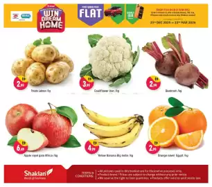 Shaklan leaflet Page 3