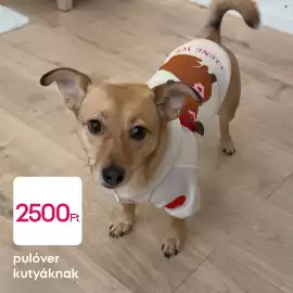 Pepco akciós újság hét 6 Oldal 3