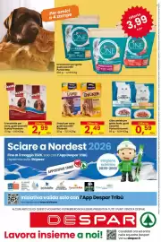 Volantino Despar Pagina 20