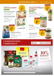 Martin Reformstark Flugblatt Seite 13