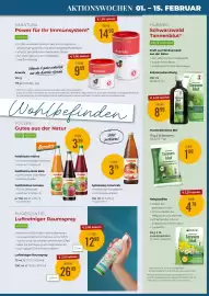 Martin Reformstark Flugblatt Seite 9