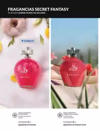 Catálogo Avon Página 102