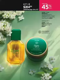 Catálogo Avon Página 111