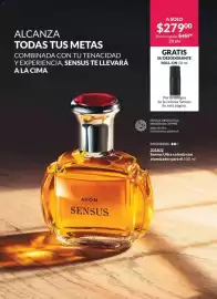Catálogo Avon Página 63