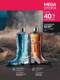Catálogo Avon Página 79