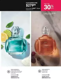 Catálogo Avon Página 91