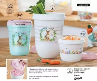 Catálogo Avon Página 17