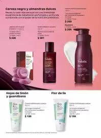 Catálogo Natura Página 103