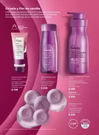 Catálogo Natura Página 105