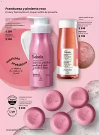 Catálogo Natura Página 106