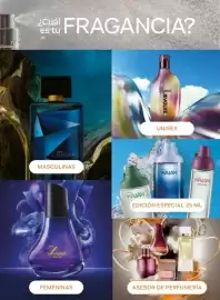 Catálogo Natura Página 15