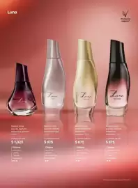 Catálogo Natura Página 26