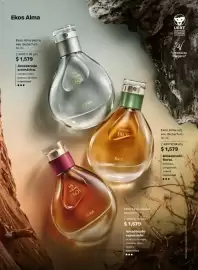 Catálogo Natura Página 32