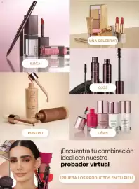 Catálogo Natura Página 43