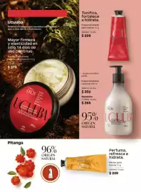 Catálogo Natura Página 95