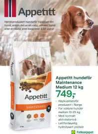 Felleskjøpet kundeavis Side 10