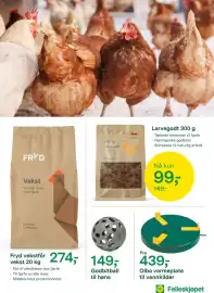 Felleskjøpet kundeavis Side 14