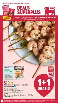 AD Delhaize folder (geldig t/m 11-02)